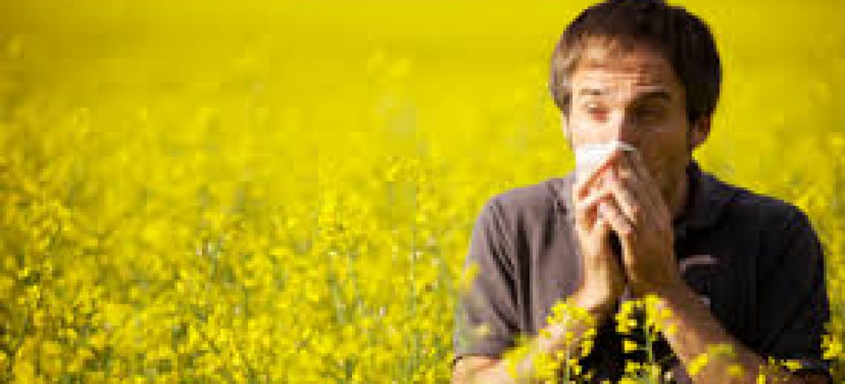 How To Fight Hay Fever