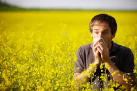 How To Fight Hay Fever