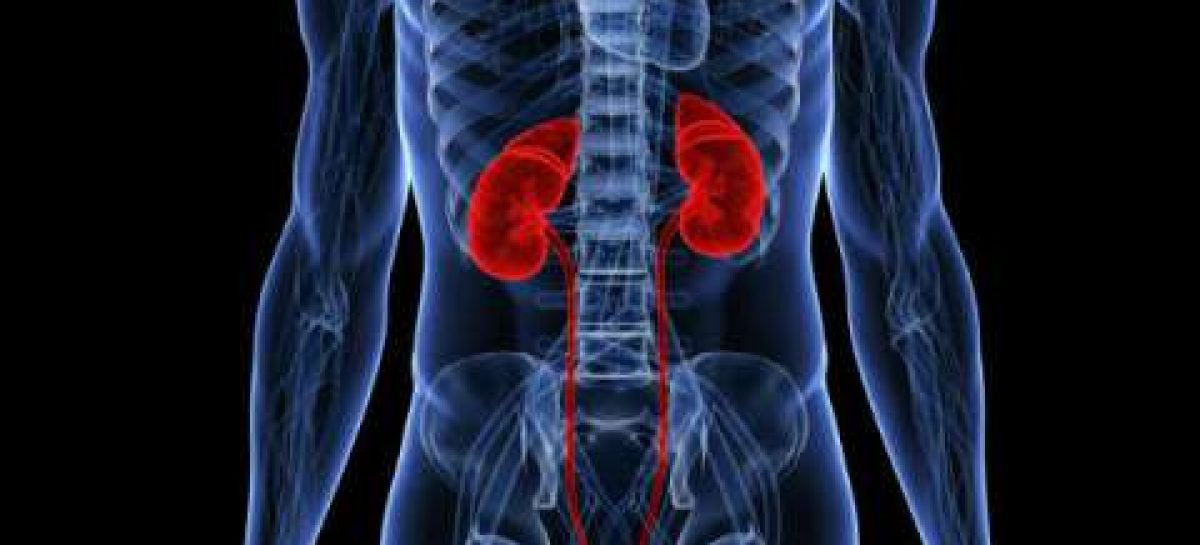 Bad habits those are harmful for your kidneys!