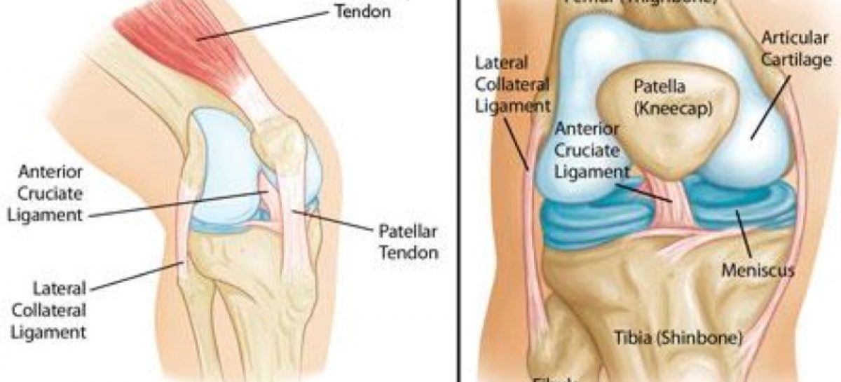 3 Common Knee Injuries